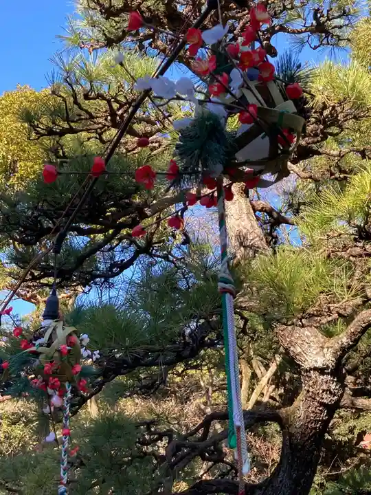 平塚八幡宮(神奈川県)