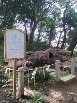 泉神社(茨城県)