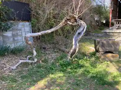 厳島神社(神奈川県)