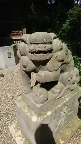 縣神社の狛犬