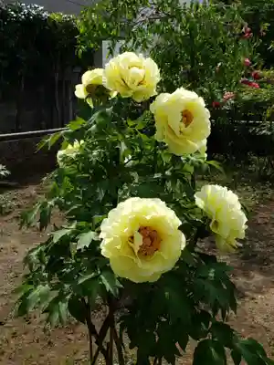 禅定院(東京都)