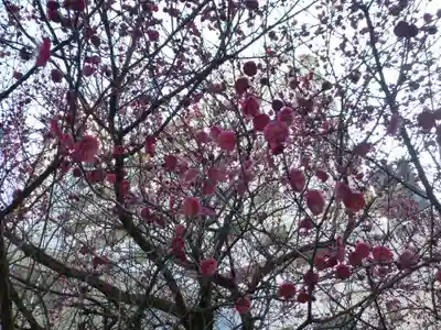 南宮神社(福岡県)