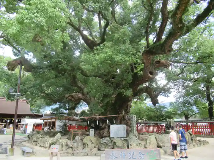 宇美八幡宮の自然