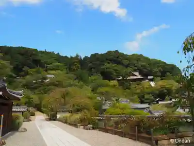 長谷寺(奈良県)