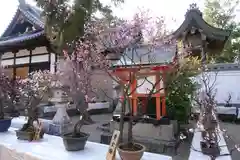 菅原天満宮（菅原神社）の建物その他