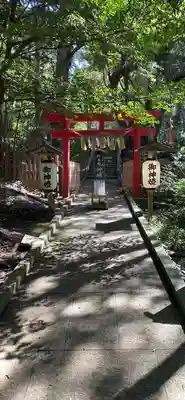 伊古奈比咩命神社の鳥居
