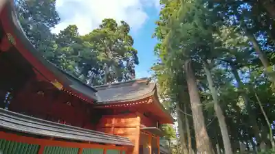 富士山東口本宮 冨士浅間神社(静岡県)