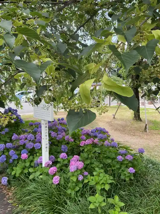 真宗大谷派名古屋別院(愛知県)
