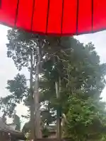 中野沼袋氷川神社(東京都)