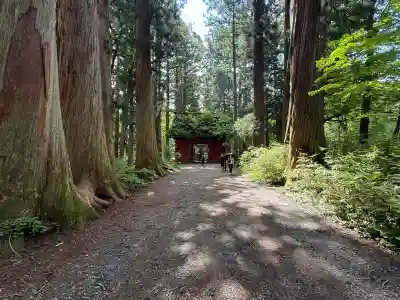 戸隠神社奥社(長野県)