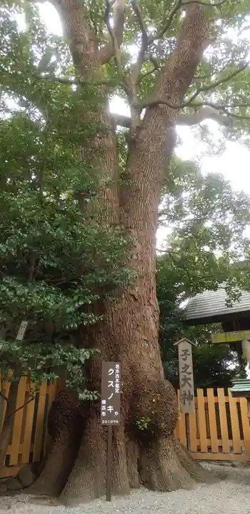 伊勢山皇大神宮の自然