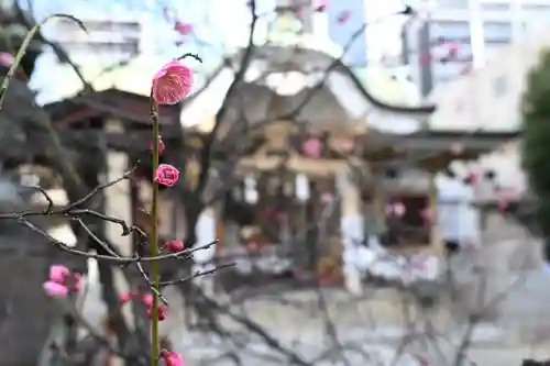 綱敷天神社(大阪府)