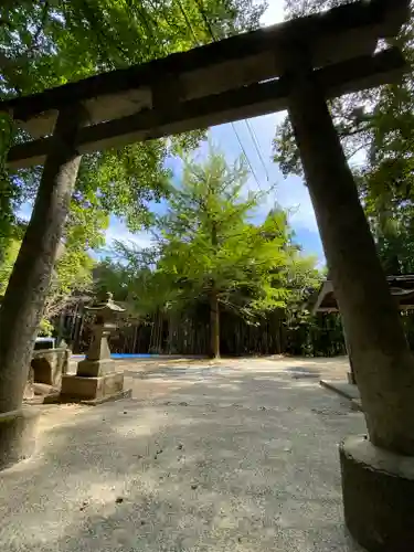 サムハラ神社 奥の宮の鳥居