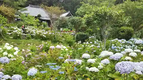 極楽寺の庭園