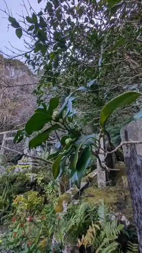 大豊神社(京都府)