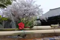 元興寺の手水舎