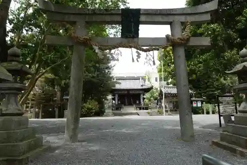 大井神社の鳥居