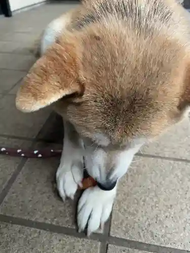 笠䅣稲荷神社(神奈川県)