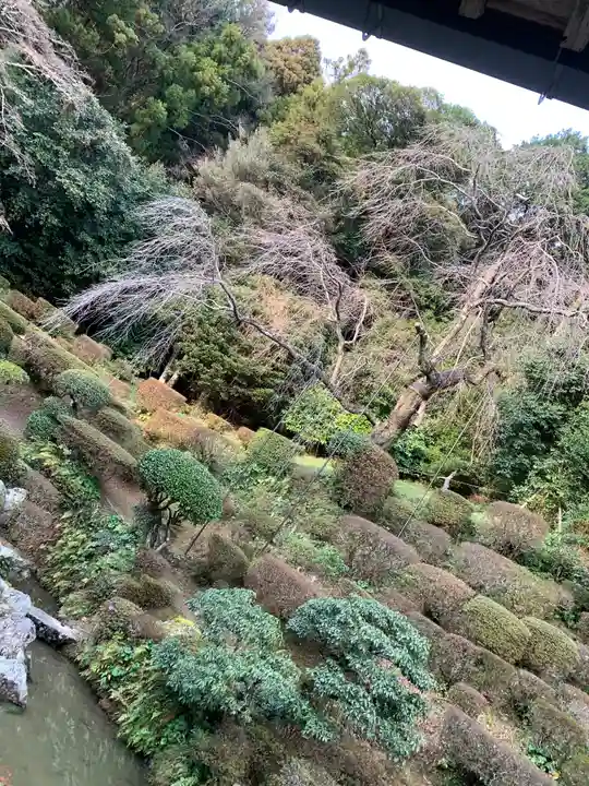 医光寺の庭園