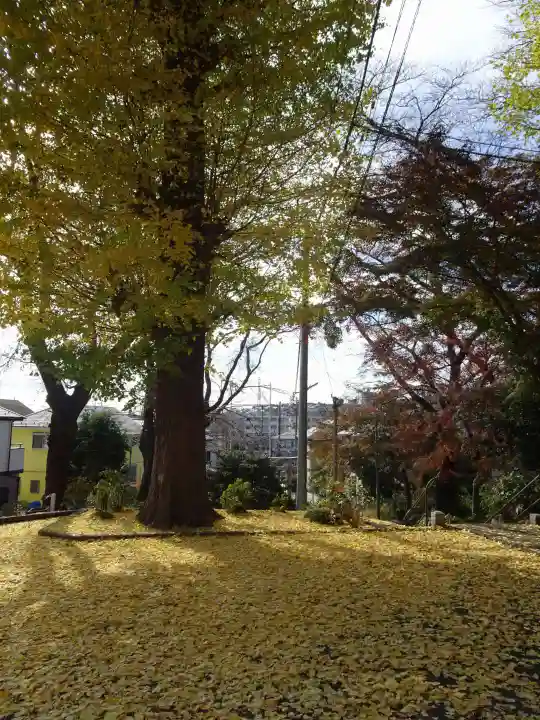 南大谷天神社の自然