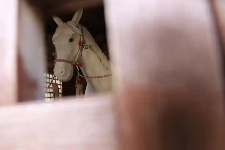 三春大神宮の芸術