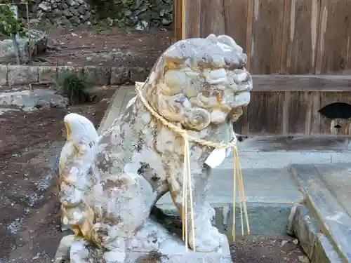 日間神社の狛犬