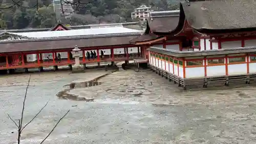 厳島神社(広島県)