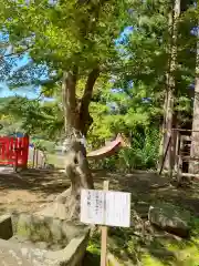 松澤神社の自然