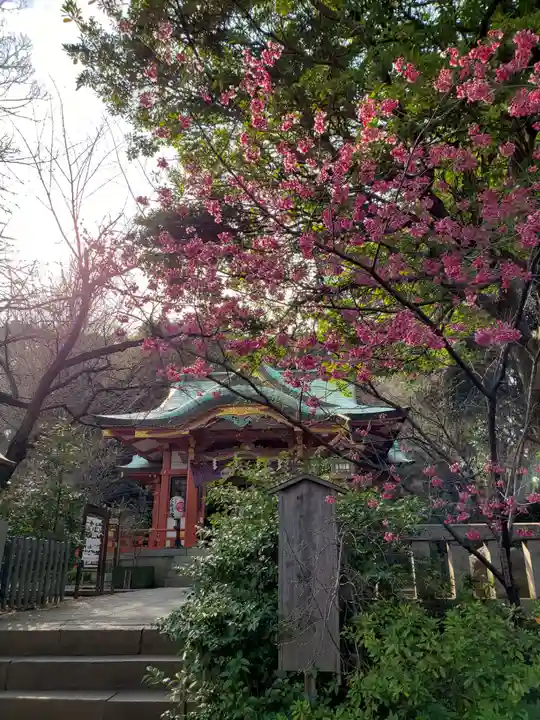 芝東照宮の本殿・本堂