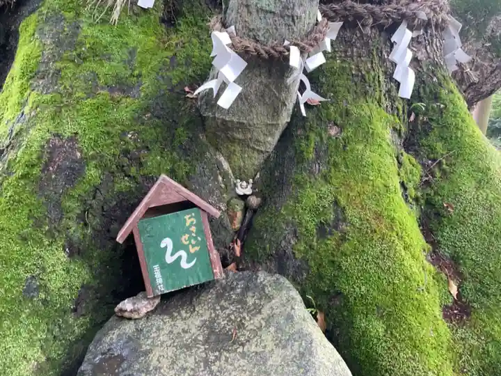玉祖神社のその他建物