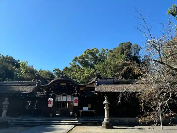 平野神社(京都府)