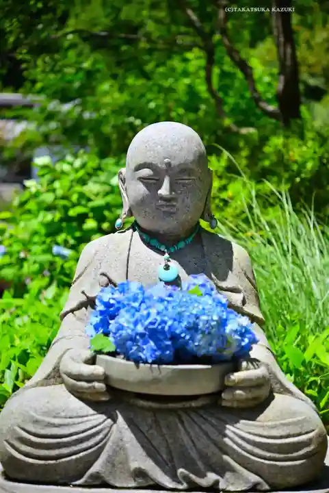 明月院(神奈川県)