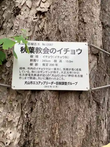 秋葉三尺坊大士　大士堂（秋葉教会）の自然