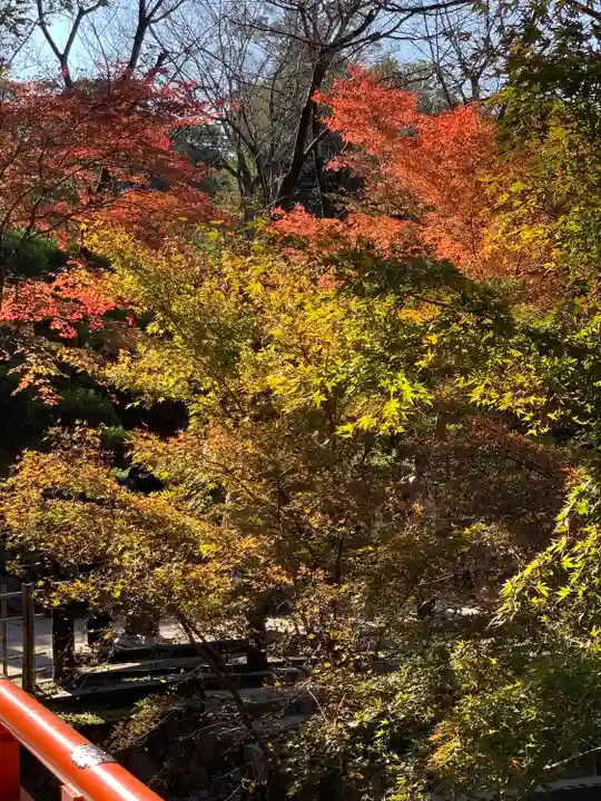 伏見稲荷大社(京都府)