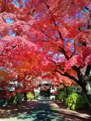 正樂寺(宮城県)