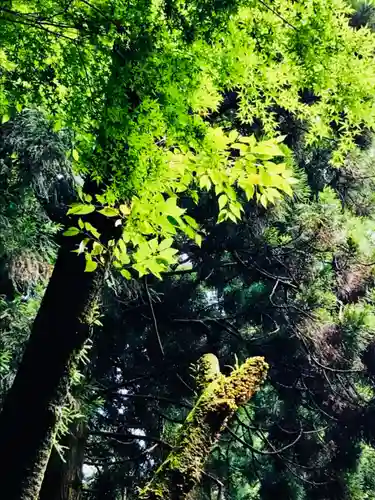 香取神宮の自然