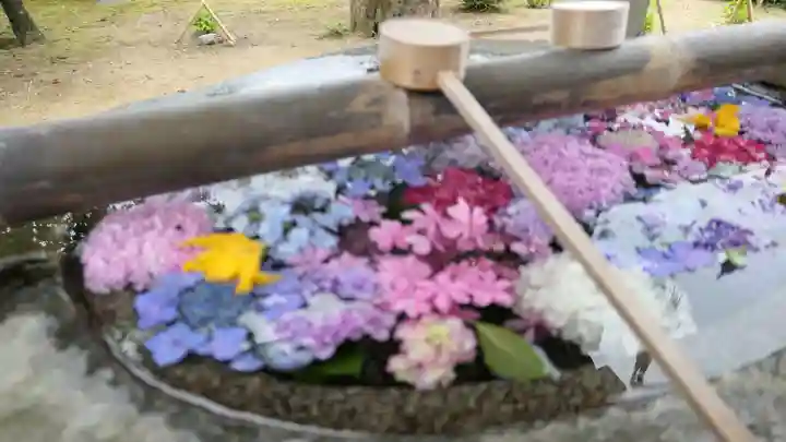 春日神社の手水舎