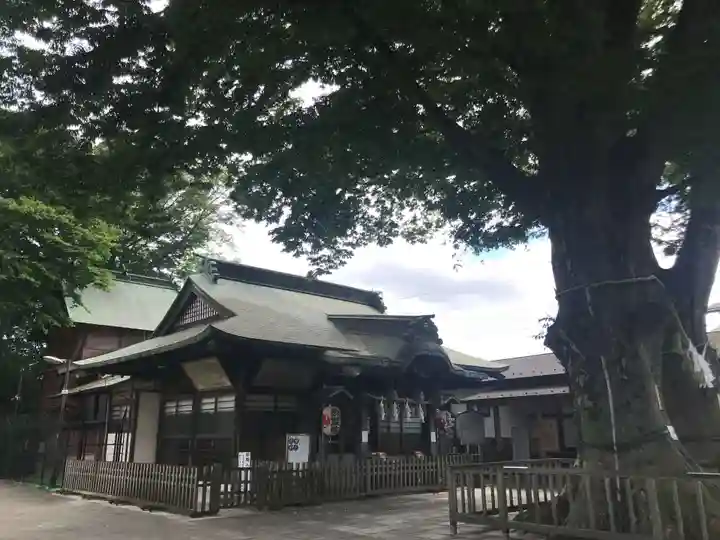 熊野宮の本殿・本堂