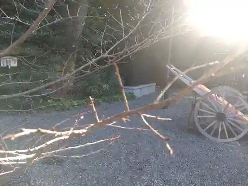 阿佐ヶ谷神明宮(東京都)