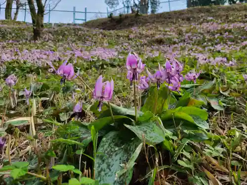事任八幡宮の自然