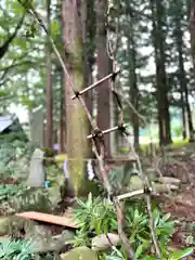 山家神社の自然