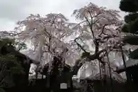 心念寺(三重県)