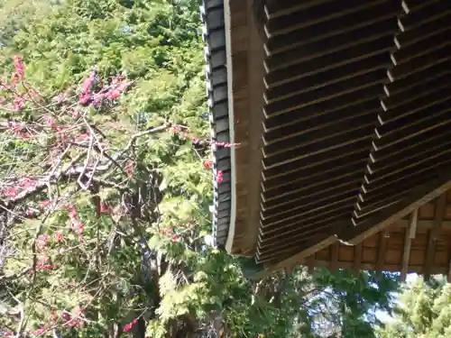 安國論寺（安国論寺）のその他建物