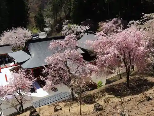 金櫻神社の{uncategorized: "未分類", other: "その他", undefined: "問題あり", building: "その他建物", grave: "お墓", sacred_gate: "鳥居", guardian: "狛犬", statue: "像", buddha: "仏像", history: "歴史", nature: "自然", garden: "庭園", animal: "動物", pagoda: "塔", temizu: "手水舎", mountain_gate: "山門・神門", sanctuary: "本殿・本堂", subordinate: "末社・摂社", art: "芸術", scenery: "景色", jizo: "地蔵", ema: "絵馬", goshuin: "御朱印", omikuji: "おみくじ", items: "授与品その他", amulet: "お守り", goshuincho: "御朱印帳", eats: "食事", festival: "お祭り", votive_dance: "神楽", shichigosan: "七五三参", wedding: "結婚式", experience: "体験その他", initially: "初詣", around: "周辺", anti_infection: "感染症対策"}