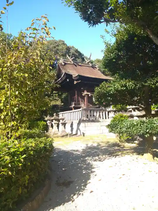 阿智神社の本殿・本堂