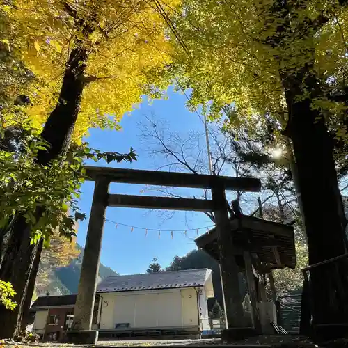 奥氷川神社の鳥居