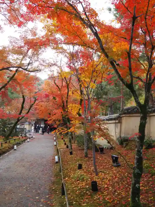 宝厳院(京都府)