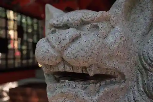 青島神社（青島神宮）の狛犬