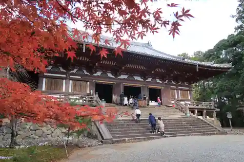 神護寺の本殿・本堂