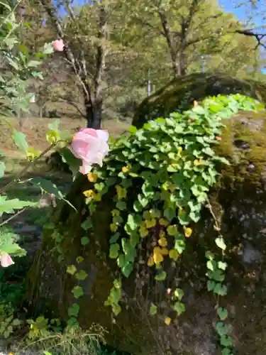 春日神社の自然